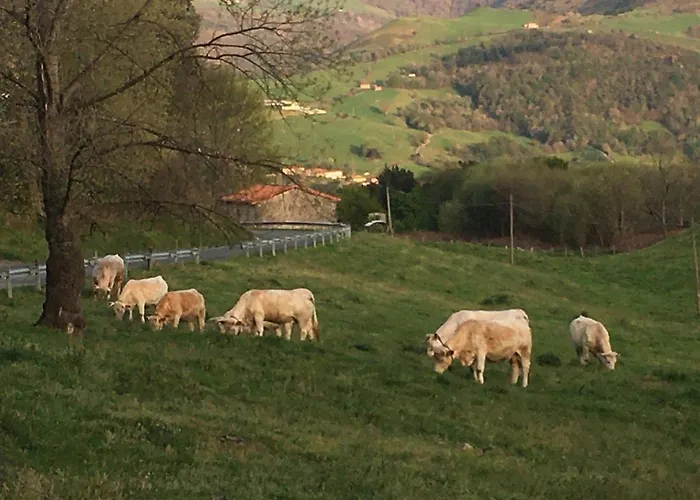 Paseo De La Quinta *