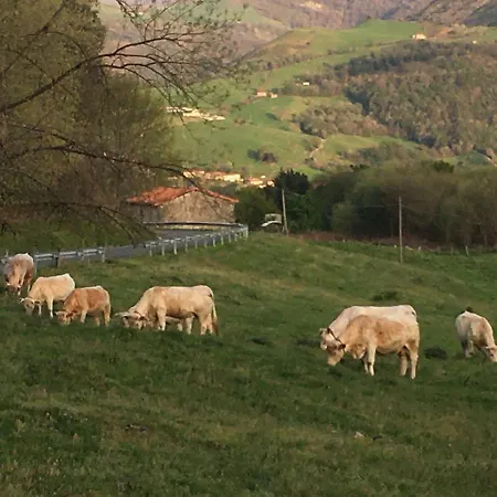 Paseo De La Quinta *